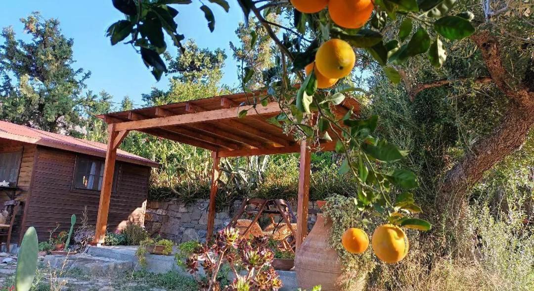 Levantes Garden House - Keratokampos Zewnętrze zdjęcie