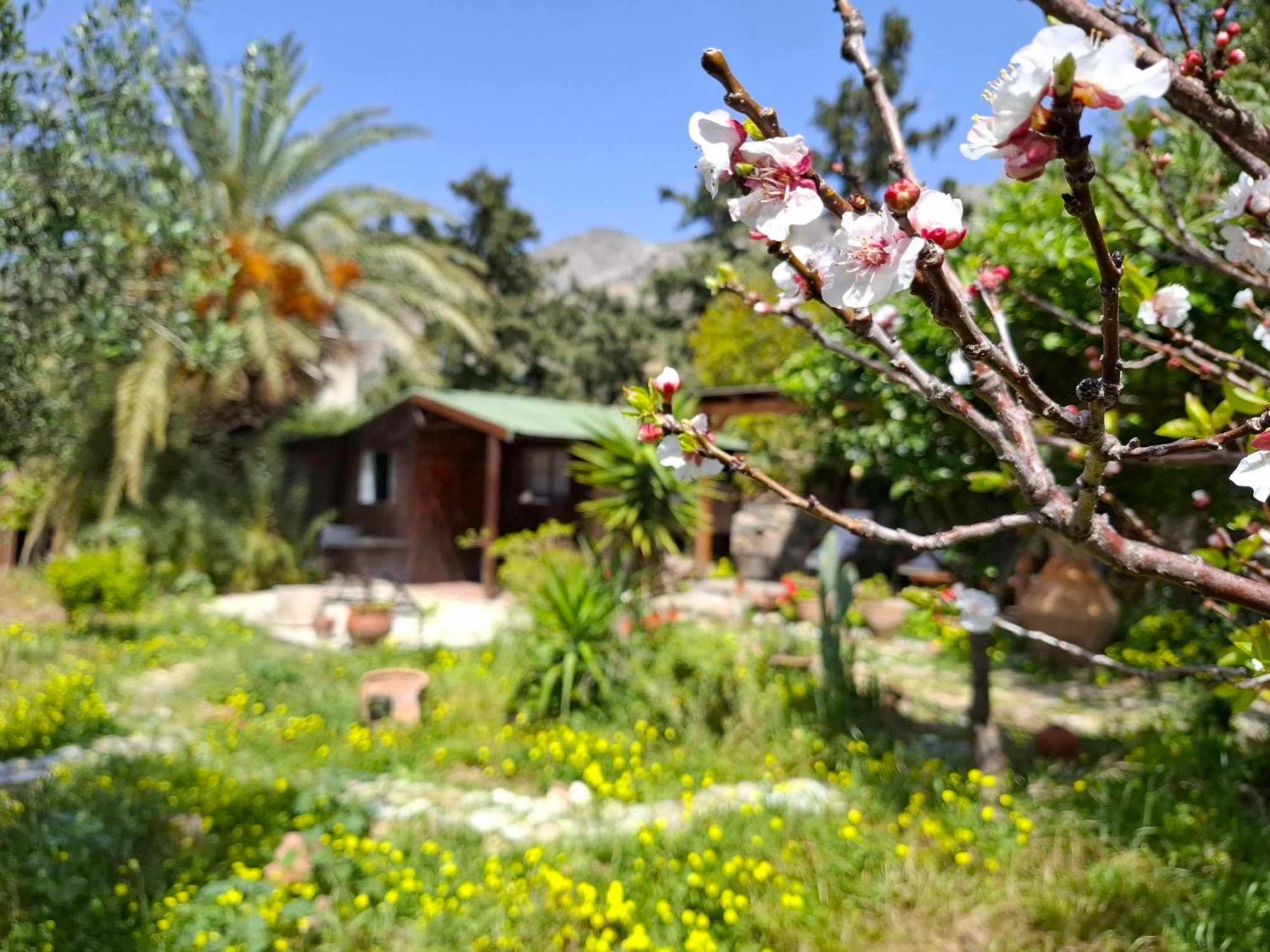 Levantes Garden House - Keratokampos Zewnętrze zdjęcie